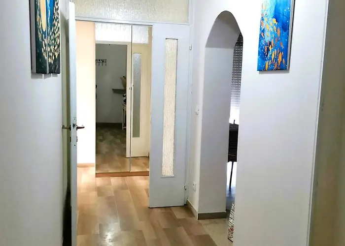 Gioia A 5m Da Maria Cecilia Hospital * Lugo (Ravenna)